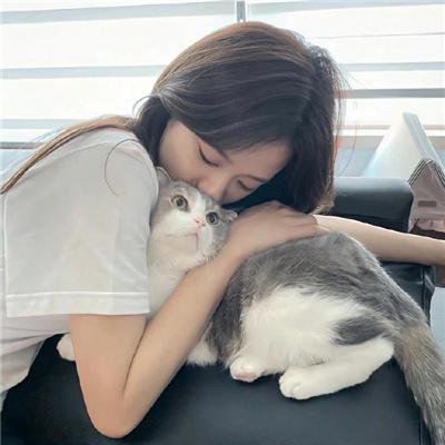 虎王归来